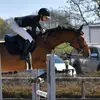 gracie house - @gh.showjumping - TikTok