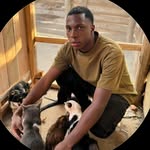 house of cats cnter - @gracehouseofcats - Instagram