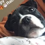 GraceJaeger - @gracejaeger_ - Instagram