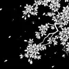 grace_jay - @grace_jay - TikTok