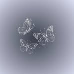 Grace Jeffries - Facebook