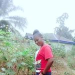 Grace Justice - @grace.justice.96558 - Instagram
