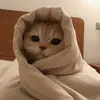 Grace - @gracee.kavanagh - TikTok