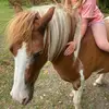 Grace kavanagh🥸 - @gracekavanagh4 - TikTok