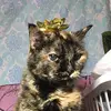 Grace Keith - @grace.keith3 - TikTok