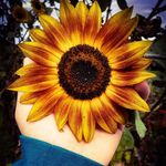 Grace Kenyon - @gracek_photography_ - Instagram