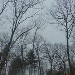 Grace Kenyon - @welocome_to_your_vacation - Instagram