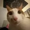 Grace Krause - @grace._.krause - TikTok