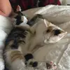Grace 😎 - @grace.larkins - TikTok