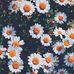 Grace Larkin - Facebook