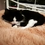 Grace Larkin - @gracie_lou_freebush24 - Instagram