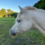 Grace - @grace_lawlor145 - Instagram