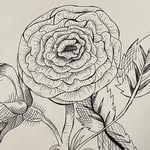 Grace Laymance - @gracelaymance_art - Instagram