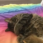 Makayla Grace ledbetter - @makaylaledbetter - Instagram