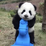 Makayla Grace Ledbetter - @kkpandabear7 - Instagram