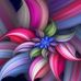 Grace Lilly - Facebook