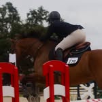 Grace Lindsay - @gracelindsay_eq - Instagram