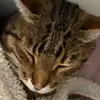Grace Lindstrom - @grace.lindstrom4 - TikTok