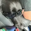 Grace Long - @grace.long85 - TikTok