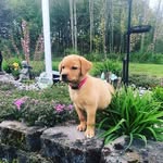 Gracie Loomis - @loomis_gracie - Instagram