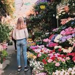 Grace Lynam - @gracedoesblogs - Instagram