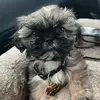 Grace Macias - @gracemacias00 - TikTok
