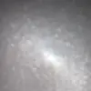 Gracie Macias - @graciemacias - TikTok