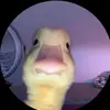 gracemaddenn17 - @gracemaddenn17 - TikTok