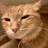 grace :0 - @grace.maddox19 - TikTok