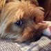 Grace Markle - Facebook