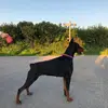 GraceMarriott - @gracemarriot - TikTok