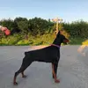 Gracemarriott - @gracemarriott1 - TikTok