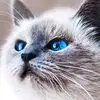 user2323073703365 - @graceymaxey373gmail.com1 - TikTok