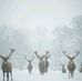 Grace Mcbee - Facebook