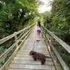 Grace Mccormack - @grace.mccormack6 - TikTok