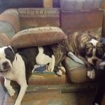 Stanley and Grace McCrea - Facebook
