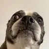 Grace - @gracemccue - TikTok