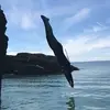 GraceMchugh - @grace.mchugh - TikTok