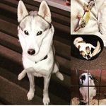 Laila-Grace McHugh - @xxlaila_mchughxx - Instagram
