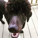 Harley Grace Medley - @no_odd_tod - Instagram