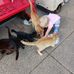 Grace Merrill - Facebook
