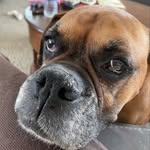Grace Michaels - @grace.michaels.96155 - Instagram
