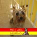 Grace Mifsud - Facebook