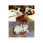 Grace Mifsud - @gracemifsud70 - Instagram