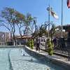 grace.molina - @grace.coria - TikTok