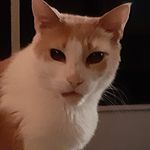 Grace Morey - @moreygrace - Instagram