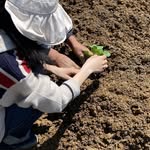 Grace Morrison - @agriculture_2025i - Instagram
