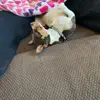 Grace - @gracemoshero - TikTok