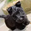 gracemosher477 - @gracemosher477 - TikTok