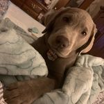 Madley Grace Munson - @madleygrace331 - Instagram